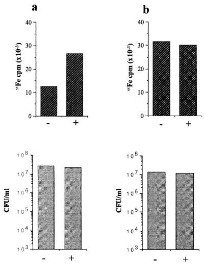 FIG. 6