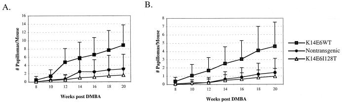 FIG. 6.