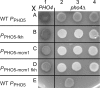 FIG. 7.