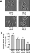 FIG. 4.