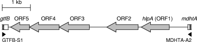 FIG. 1.