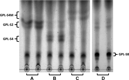 FIG. 2.