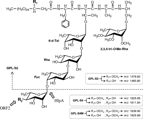 FIG. 6.