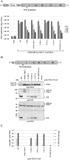 Fig 7