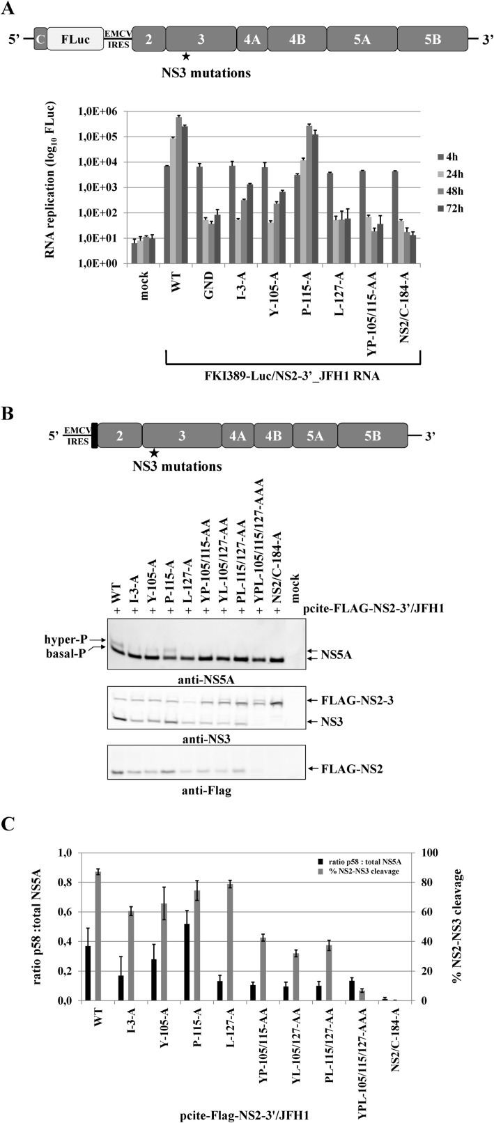 Fig 5