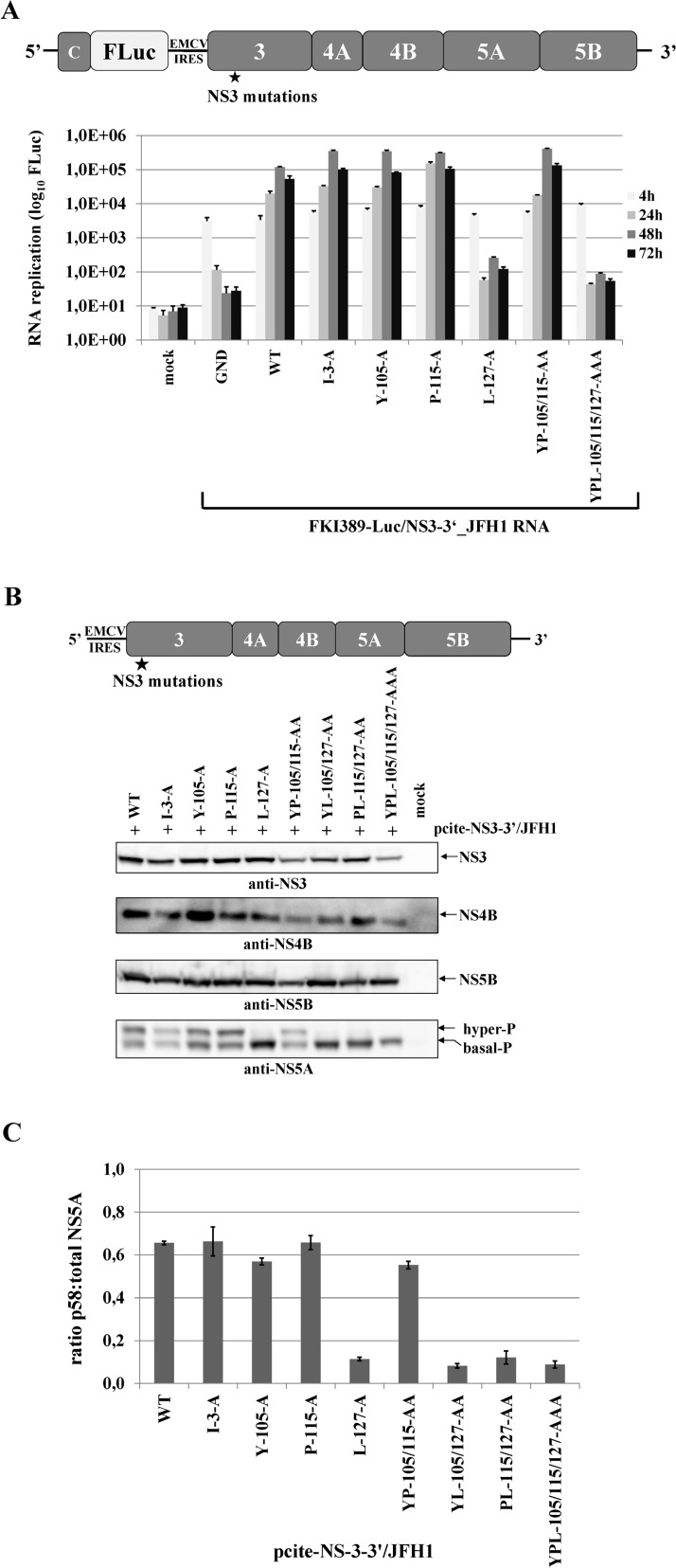 Fig 4