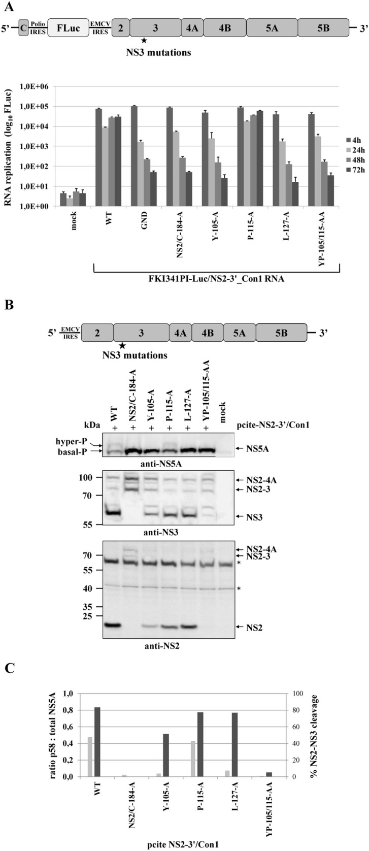 Fig 7