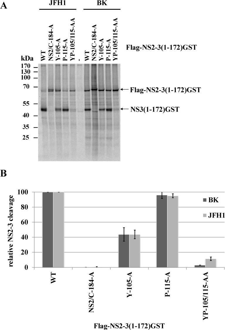 Fig 3