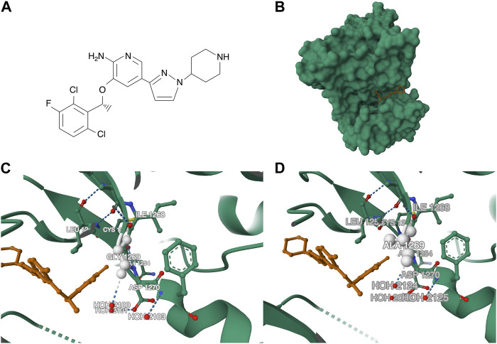 FIGURE 4