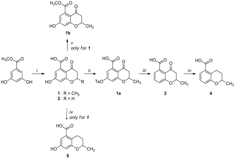 Scheme 2