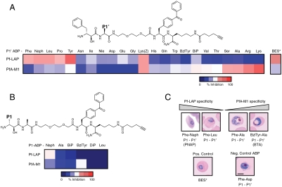 Fig. 2.