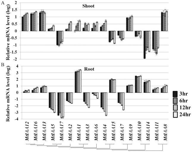 Figure 5