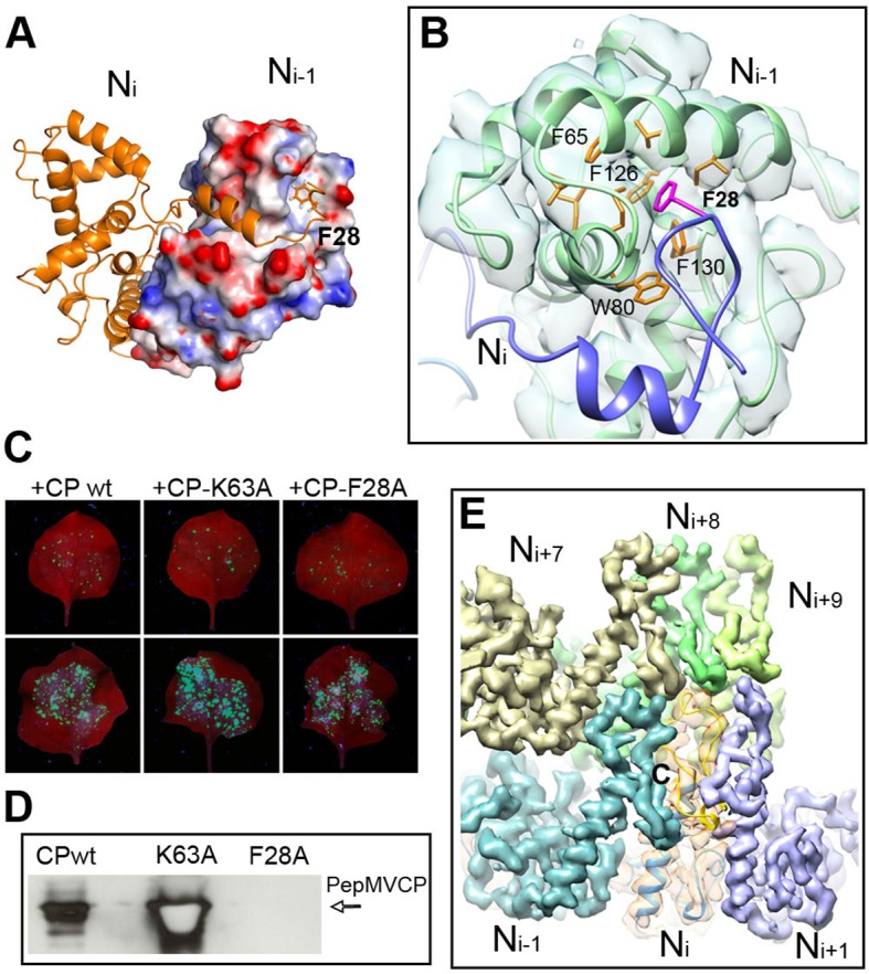 Figure 3.