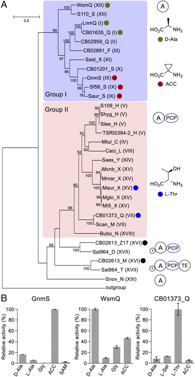 Fig. 3.