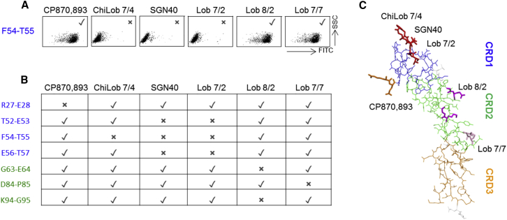 Figure 4