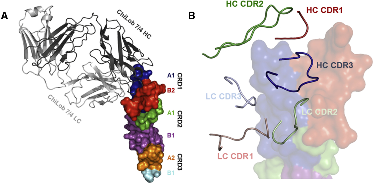 Figure 2