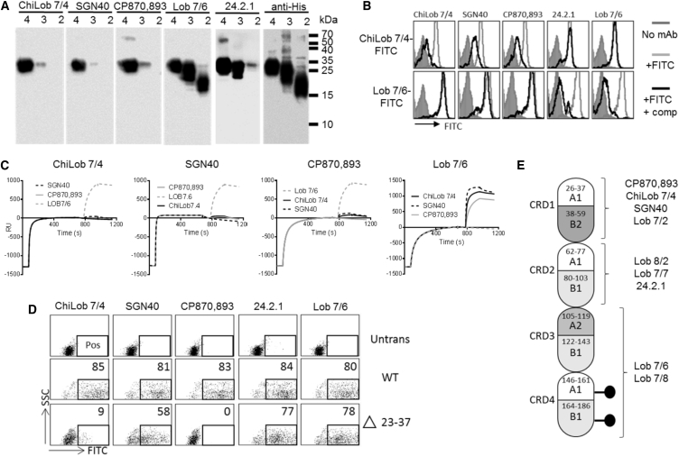 Figure 3