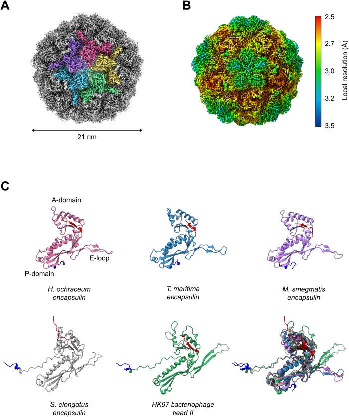 Fig. 2.