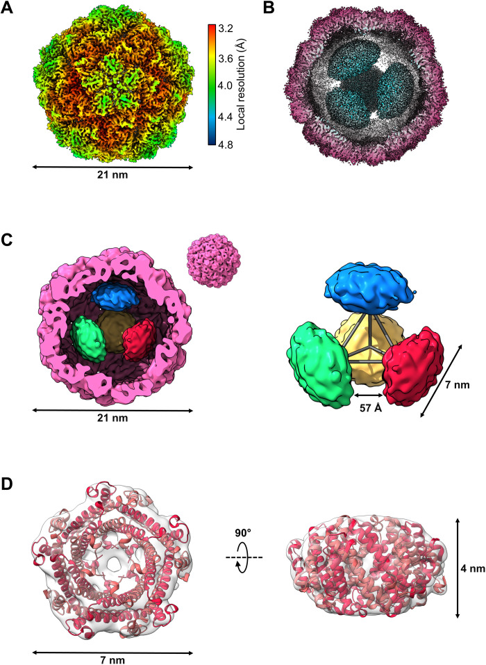 Fig. 3.