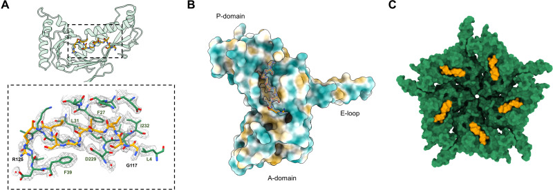 Fig. 6.