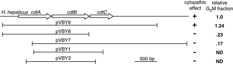 FIG. 6