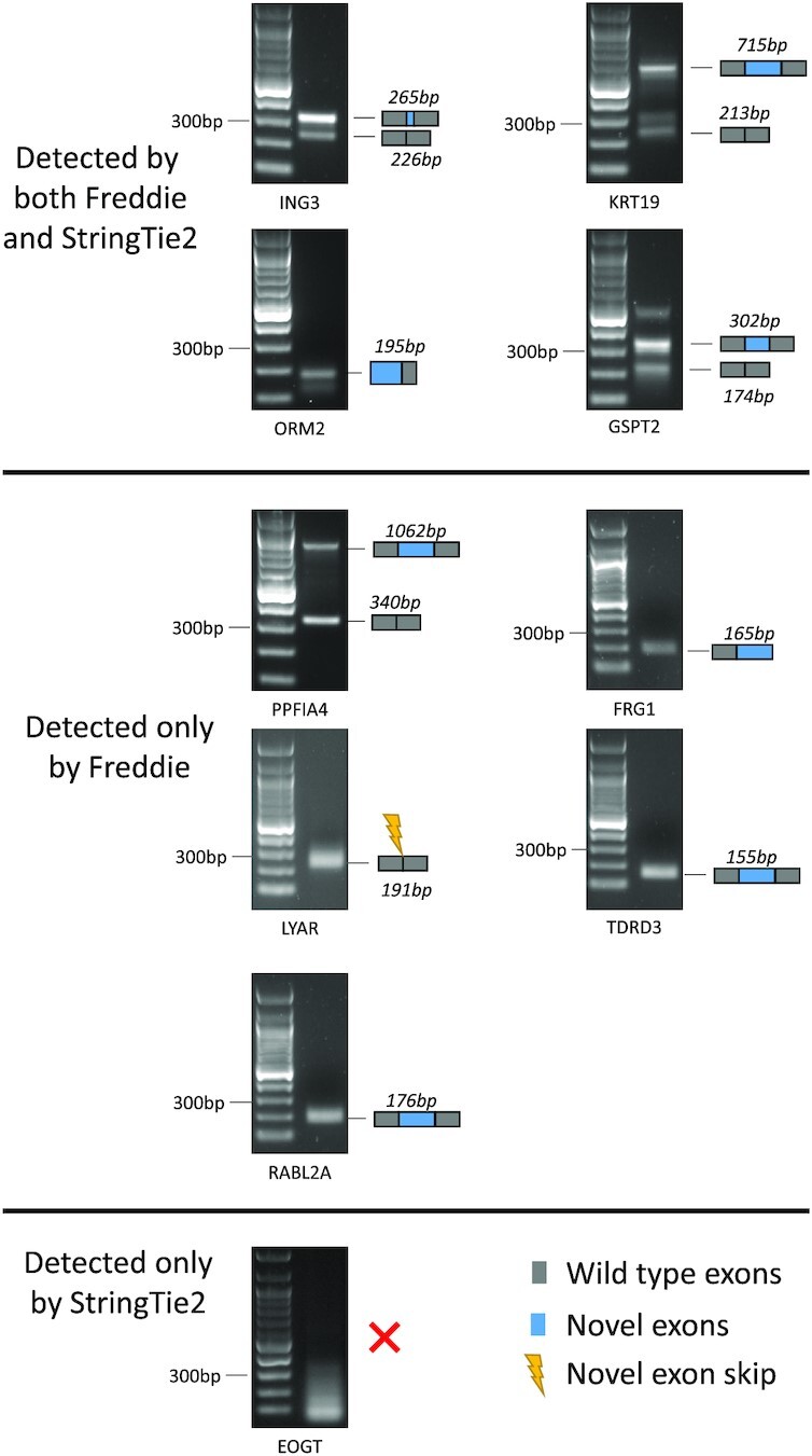 Figure 10.