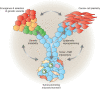 Figure 1. The many faces of cancer evolution. Enabling characteristics such as genetic instability, epigenetic reprogramming, and interactions between tumor cells and the TME enable cancer evolutionary mechanisms such as the emergence and selection of genetic variants, cancer cell plasticity, and re-education of the TME.