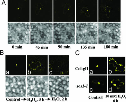 Fig. 3.