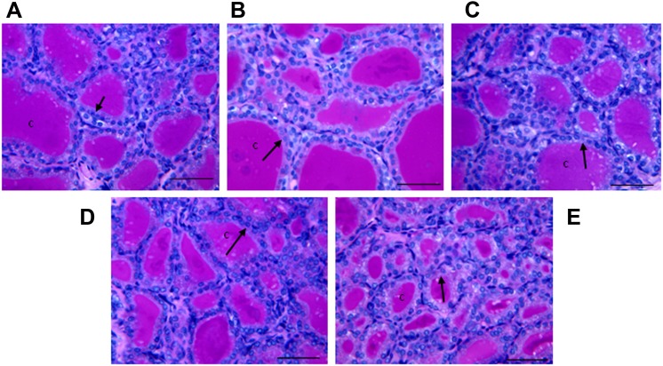 FIG. 6.