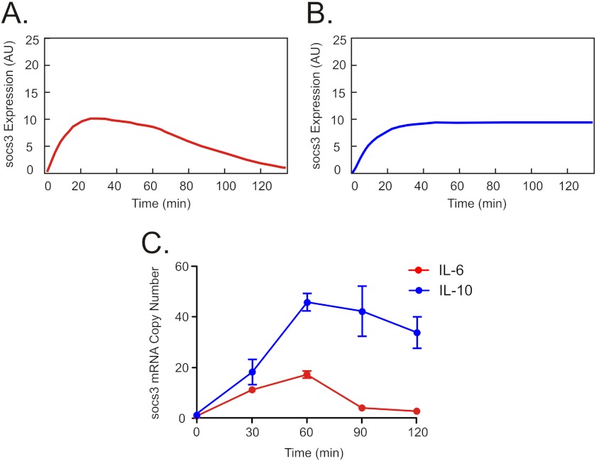 FIGURE 4.