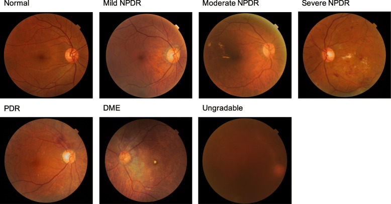 Fig. 1