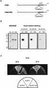 FIG. 6