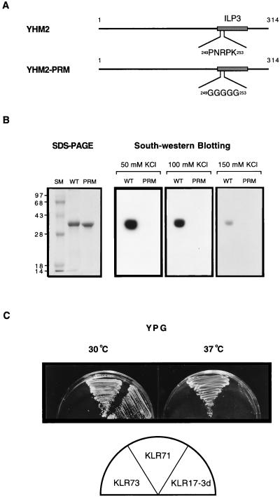 FIG. 6