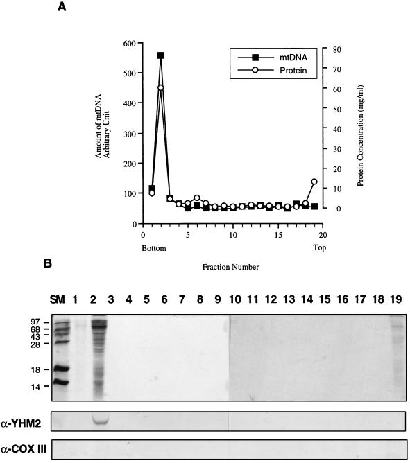 FIG. 7