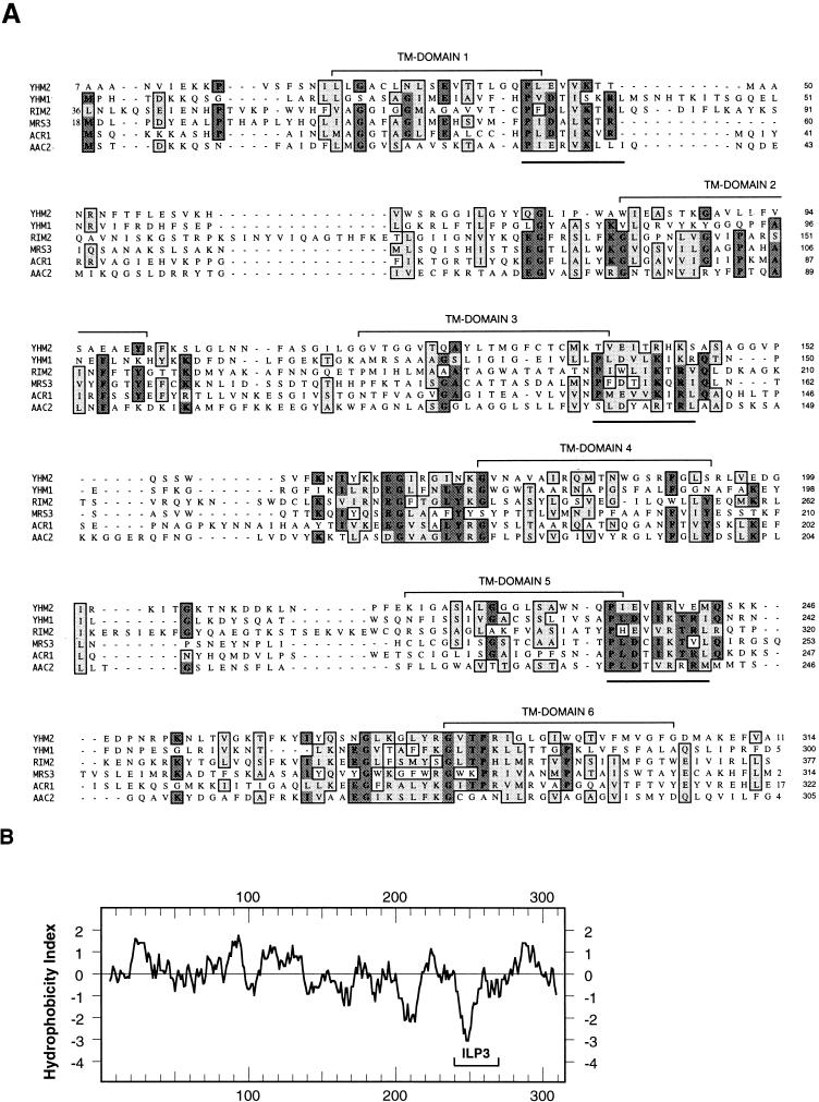 FIG. 3