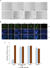 Figure 4