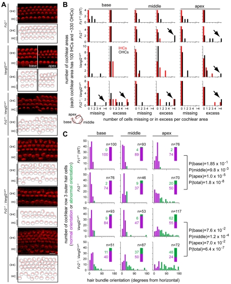 Fig. 6.