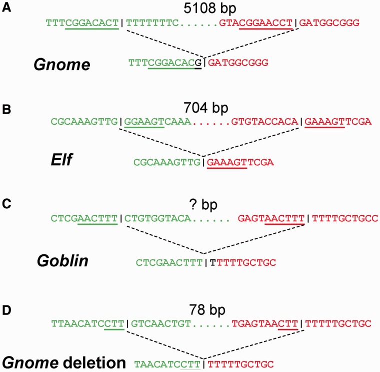 Fig. 6.—