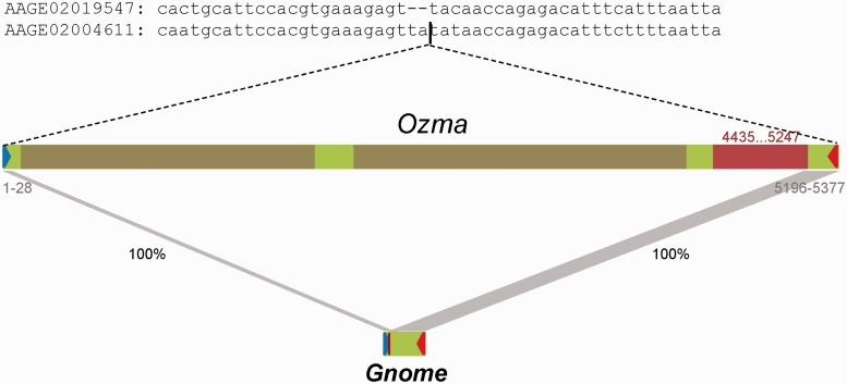 Fig. 2.—