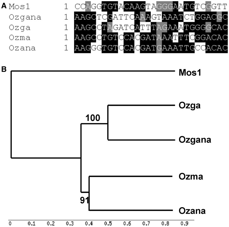 Fig. 3.—