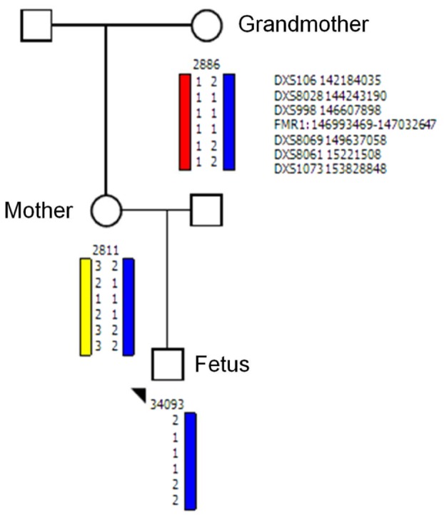 FIGURE 2