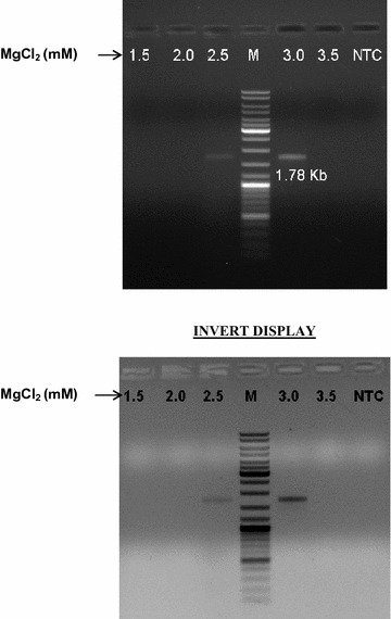 Fig. 2