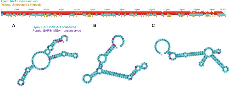 FIGURE 3.