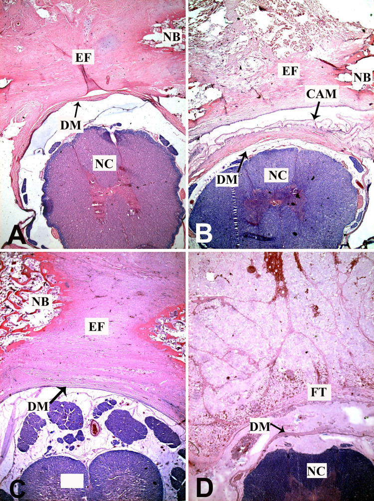 Fig. 4