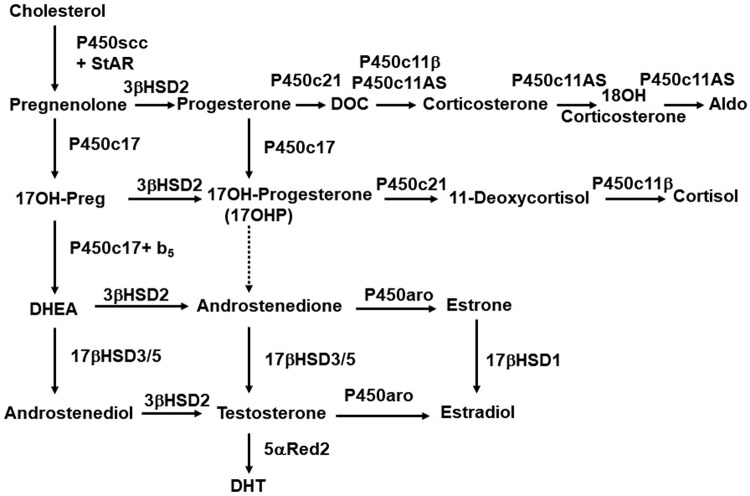 Fig 1