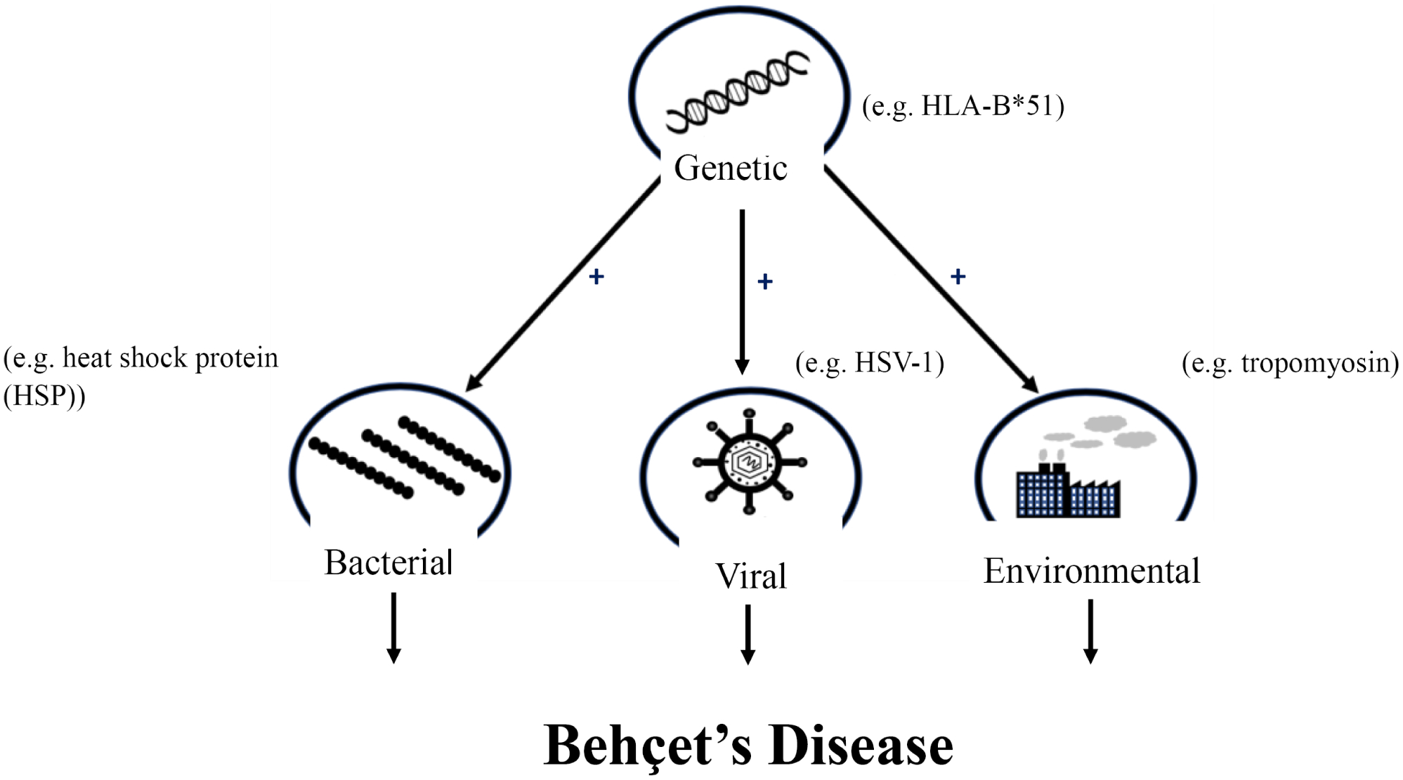 Fig. (1).