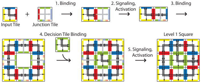 Figure 5