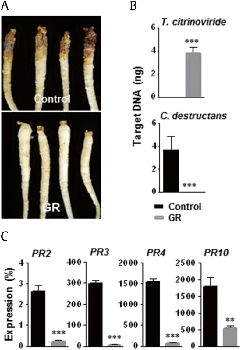 Fig. 7