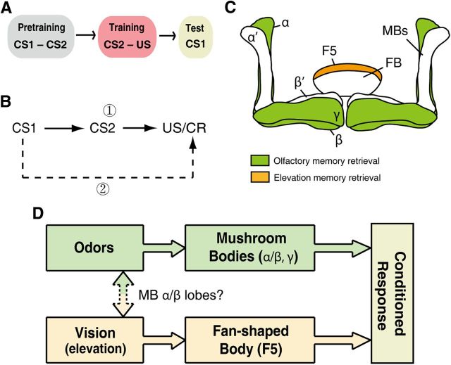 Figure 6.