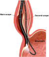 Fig. 1